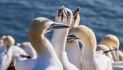 爱游戏app下载-中国足球职业俱乐部强化教练团队梯队构建，足球队教练组架构