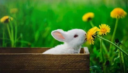 爱游戏app下载-中国足球职业俱乐部强化教练团队梯队构建，足球队教练组架构